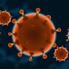 Corona Virus